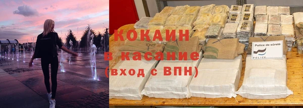 твердый Алзамай